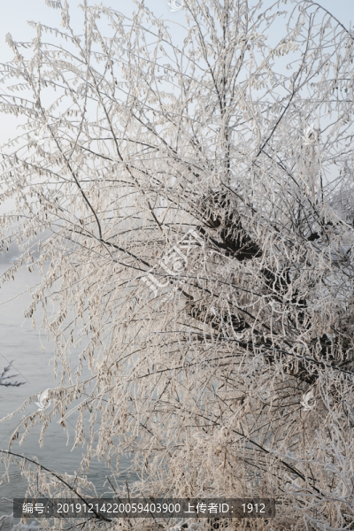 冬雪