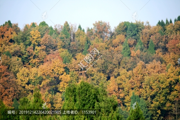 秋天的山嶺