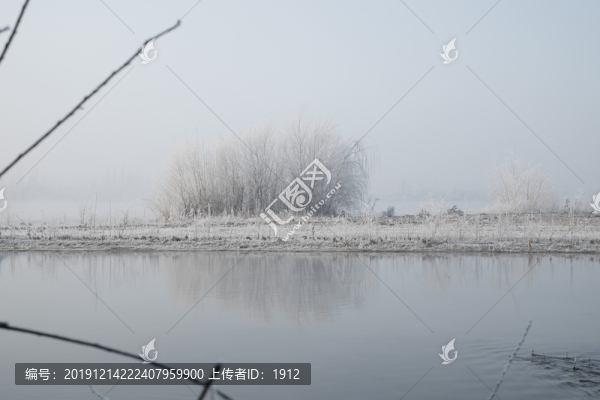 伊犁河霧淞