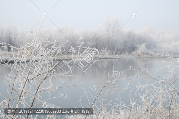 伊犁河霧淞