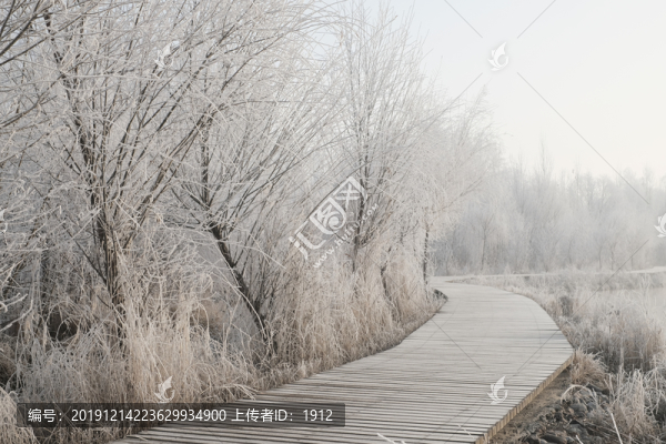 伊犁河霧淞