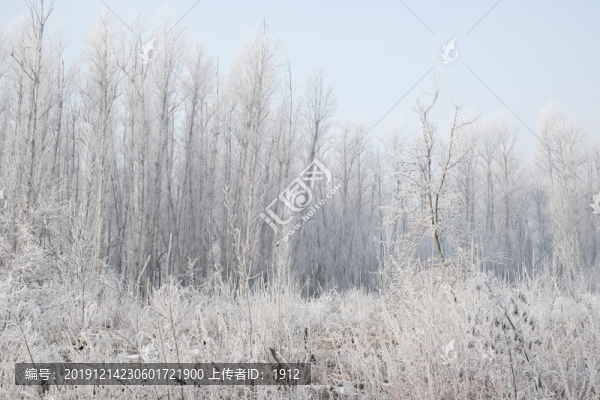 冬季雪景