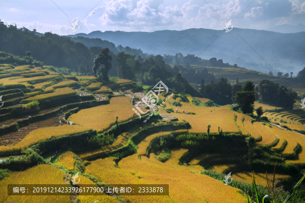 元陽(yáng)梯田