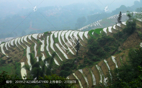 元陽(yáng)梯田