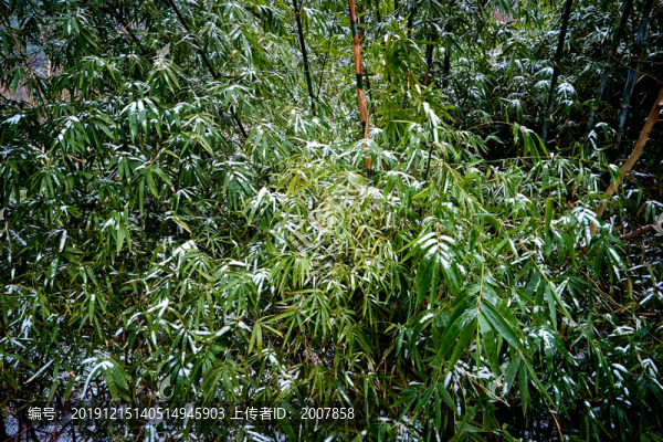 下雪之后