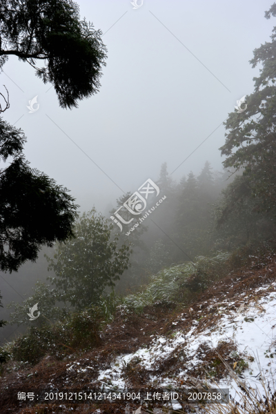 山霧