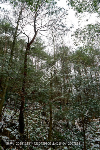 衡山雪景