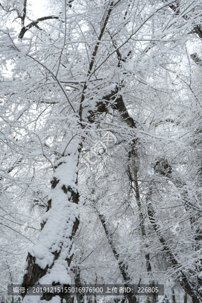 雪凇