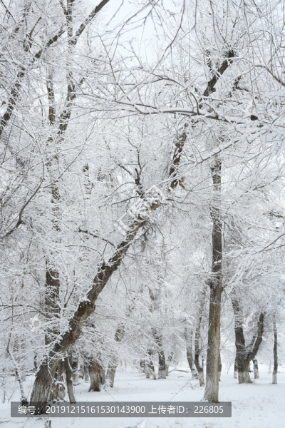 雪凇