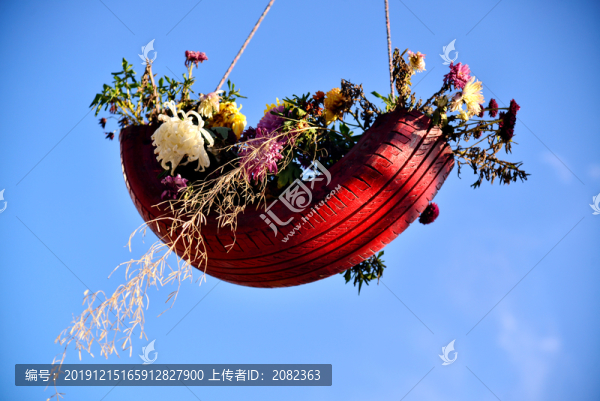 懸空中菊花