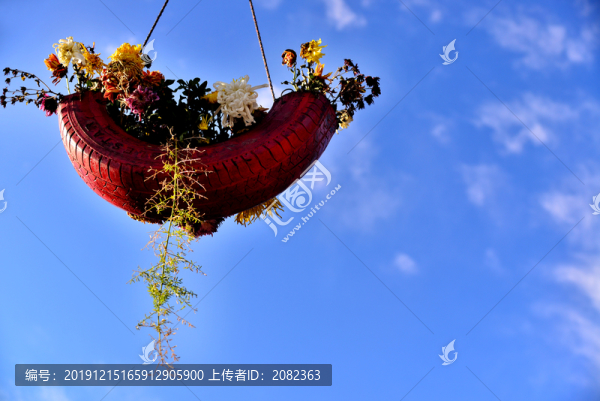 菊展中的菊花