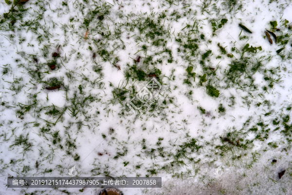 雪地種菜