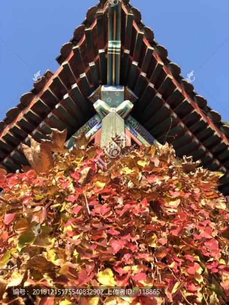 秋天的紅葉屋檐