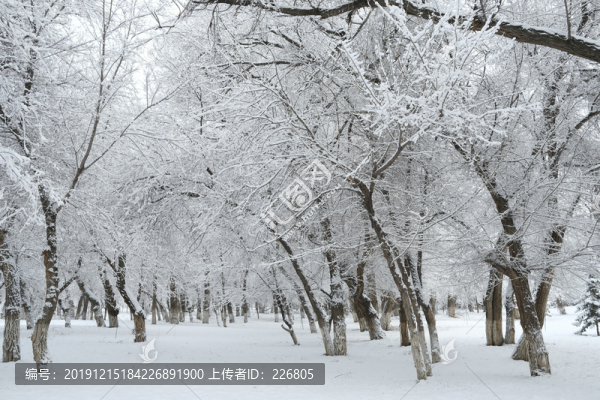 雪凇