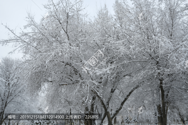 雪凇