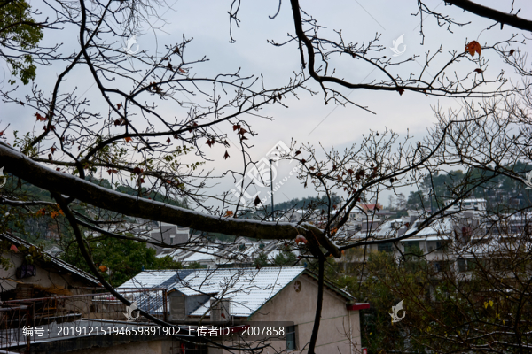 雪景