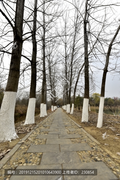 冬季公園