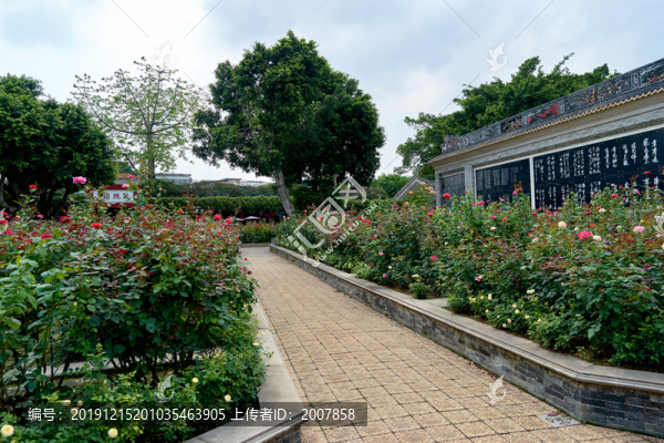 玫瑰園