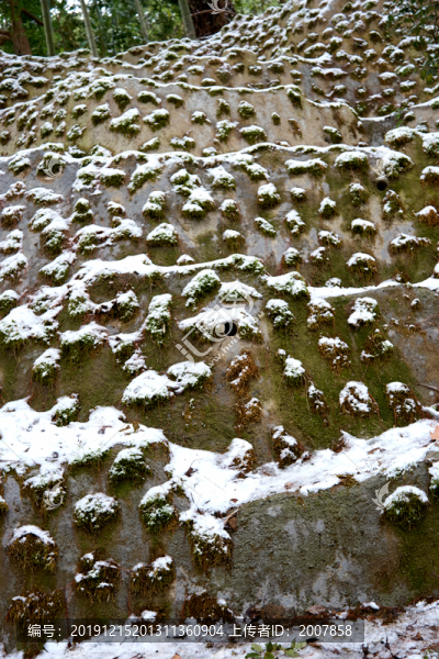 積雪