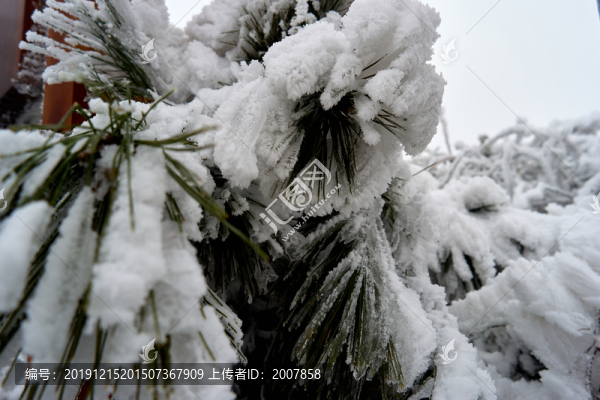 積雪雪景