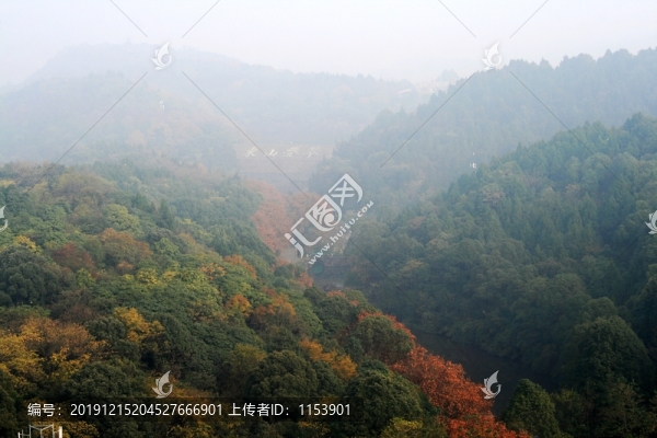 山林晨霧