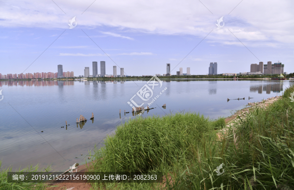 茂盛紅海子濕地植被
