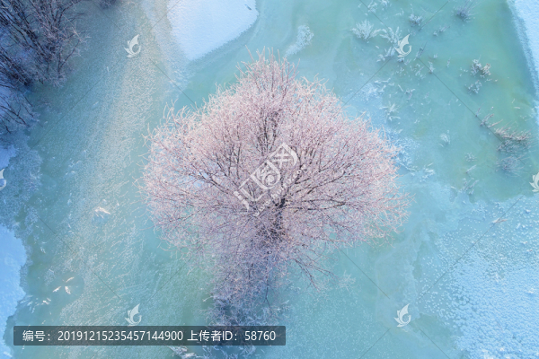 冰河樹木紅樹稍