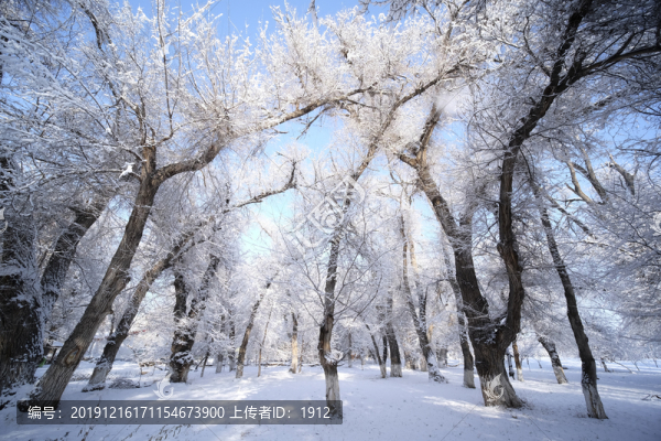 雪景