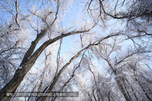 雪景
