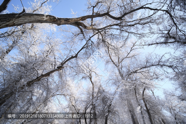 雪景
