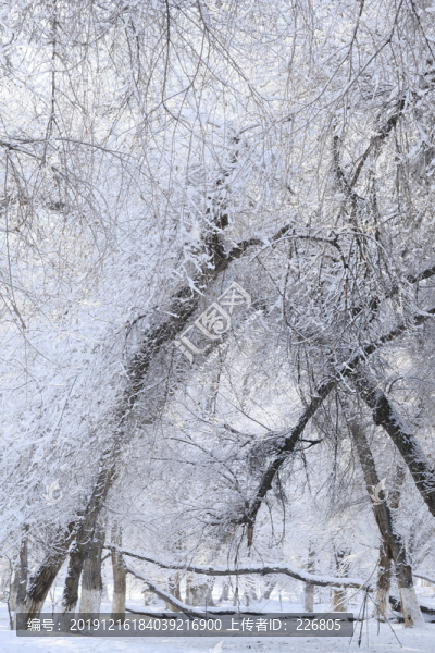 雪景