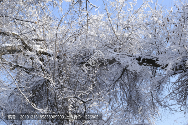 雪景