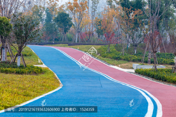 公園的路面