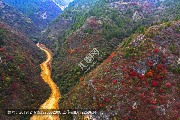 巫山紅葉