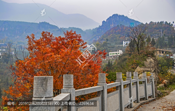 巫山紅葉