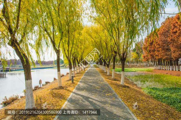 秋天公園小路