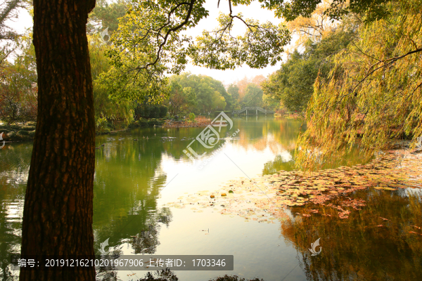西湖秋景