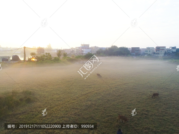 霧景