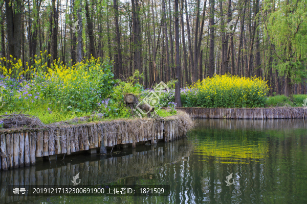 江蘇泰州李中水上森林公園美景