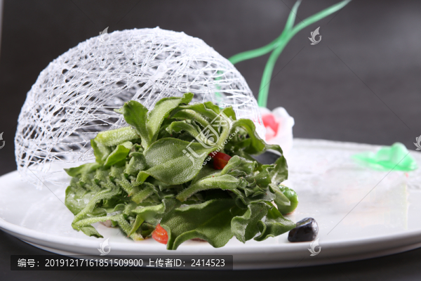 糖網(wǎng)沙拉冰草
