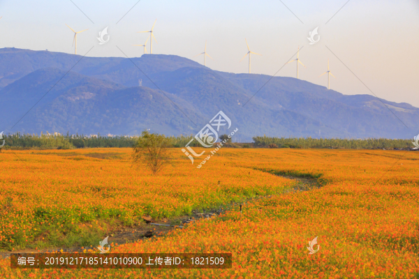 寧波北侖梅山保稅區(qū)梅山大橋美景