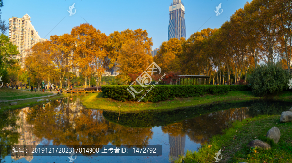 武漢解放公園深秋風(fēng)光