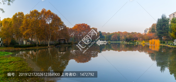 武漢解放公園深秋風光