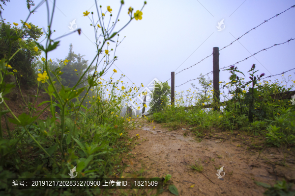 雙峰國(guó)家森林公園