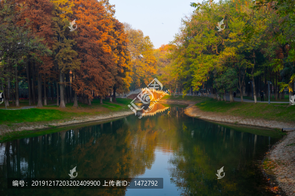 武漢解放公園深秋風光