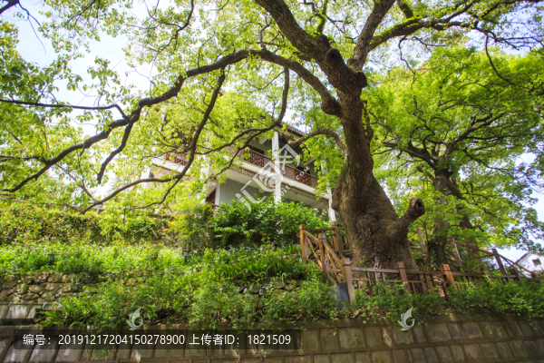 方家河頭村