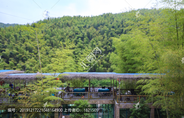 寧波海曙橫街鎮(zhèn)浙東大竹海美景