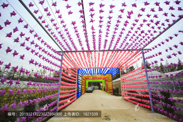 郭夏村大棚基地