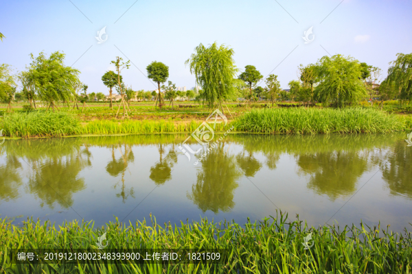 后塘河