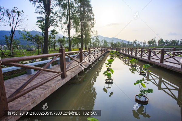 濕地公園